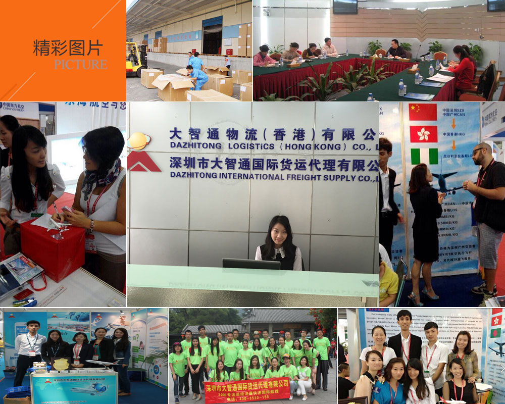 深圳市大智通國際貨運有限公司